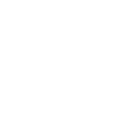 south texas freight company 2.0 (2) (1)